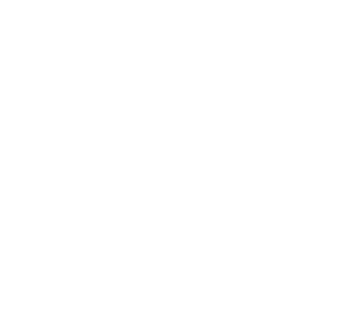 WeBrands Optimization